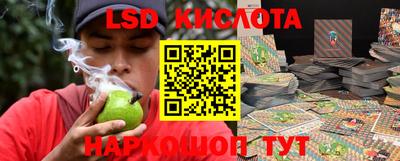 PSILOCYBIN Бугуруслан