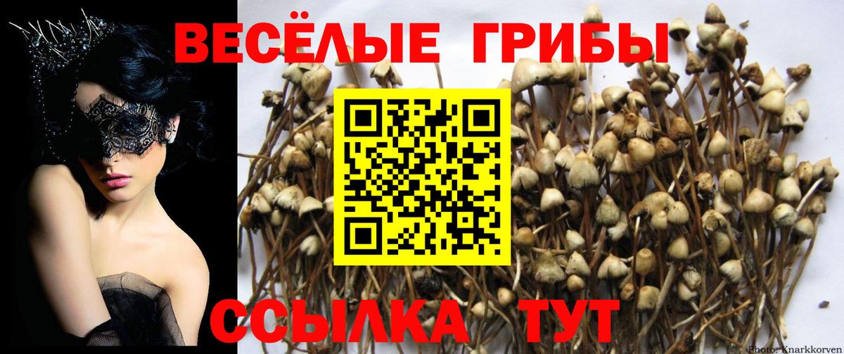 дарнет шоп  Галлюциногенные грибы ЛСД  Псилоцибиновые грибы Magic Shrooms  Вход с VPN  Красноармейск 